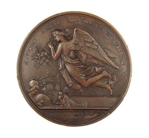 1865 Dublin International Exhibition 75mm Bronze Medal