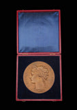 France 1884 Assemblee Nationale 73mm Bronze Medal - By Chaplain
