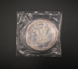 1969 Investiture Of Charles Prince Of Wales 51mm Silver Medal - Cased