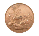 Burma 1865 Agricultural & Horticultural Society 49mm Medal