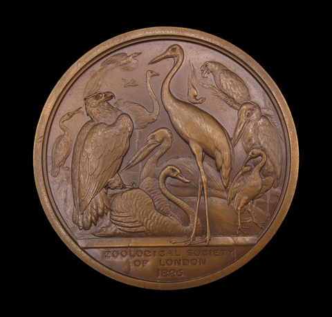 1826 Zoological Society Of London 77mm Medal - By Wyon