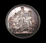 1845 Royal Agricultural Improvement Society of Ireland 45mm Silver Medal