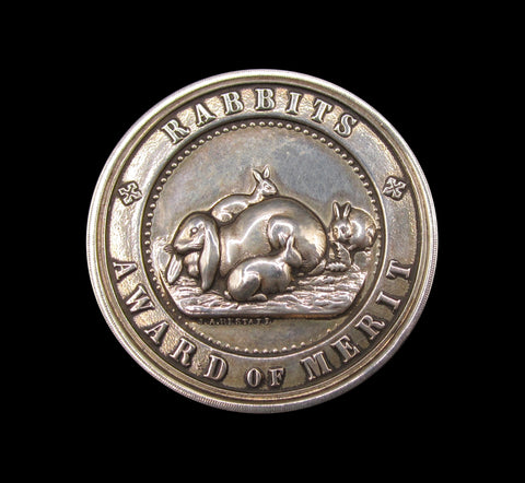 1899 Rabbits Award of Merit 39mm Silver Medal - By Restall
