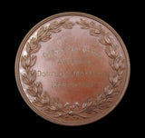 1913 South of England College of Pharmacy 51mm Silver & Bronze Medal Pair