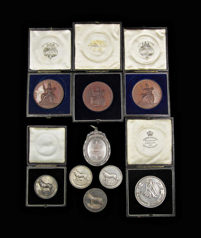 1895-1903 Collection of 9 x Irish Dog Show Award Medals inc Royal Dublin Society