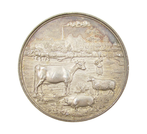Scotland 1876 Ayrshire Agricultural Association 46mm Silver Medal