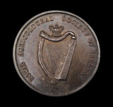 Ireland 1864 Royal Agricultural Society 51mm Silver Medal - By Woodhouse
