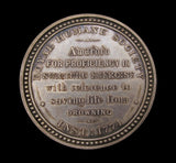 1882 Royal Humane Society 51mm Silver Medal - Cased