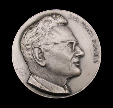1980 Federation of European Biochemical Societies Hans Krebs 71mm Silver Medal