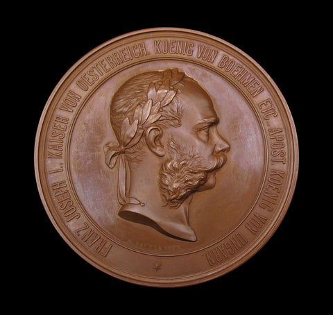 Austria 1873 Vienna Exhibition 70mm Bronze Medal - Cased
