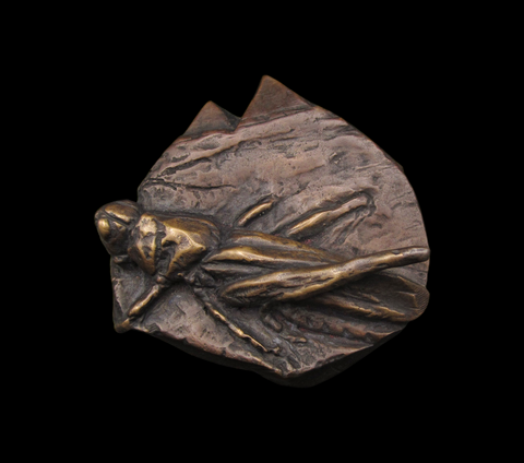 2015 British Art Medal Society 'Plaque' Medal - By Emma Broughton