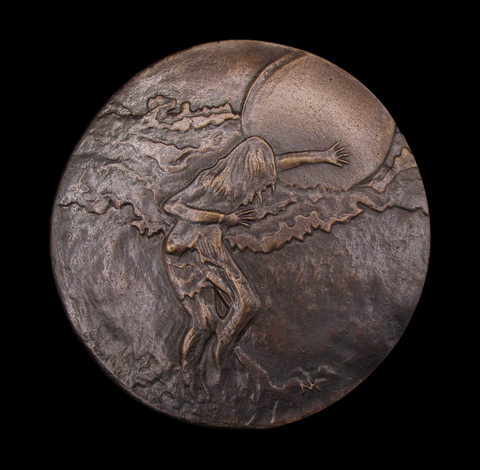 2017 British Art Medal Society 'Swanpool: Weather Station' Medal - By Nicola Kerslake