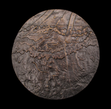 2017 British Art Medal Society 'Swanpool: Weather Station' Medal - By Nicola Kerslake