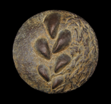 2018 British Art Medal Society 'Sea and Sand I' Medal - By Kate Harrison