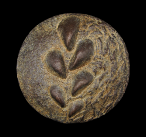 2018 British Art Medal Society 'Sea and Sand I' Medal - By Kate Harrison