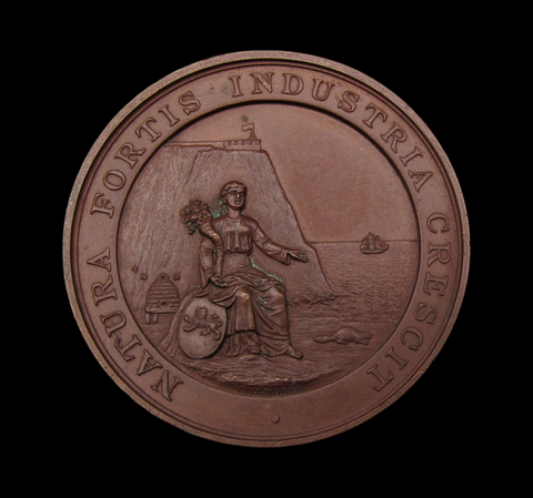 Canada c.1886 High School of Quebec Henry Fry 45mm Prize Medal - By Moore