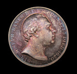 1893-94 London Horticultural Society 38mm Silver Banksian Medal Pair