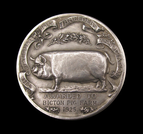 1925 National Pig Breeders Association 51mm Silver Medal - Cased