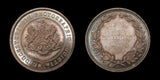 1886-1896 Set of 12 x Photographic Society Silver & Bronze Award Medals - To H.B Hare