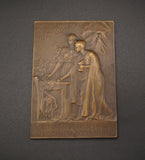 France 1905 Albert Robin Plaque Medal - By Vernon