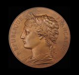 France 1884 Assemblee Nationale 73mm Bronze Medal - By Chaplain