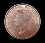 USA, Australia, France, Britain etc 1873-1909 Lot of 10 x Exhibition Award Medals