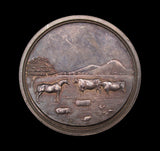 1900 Stormont Union Agricultural Association 49mm Silver Prize Medal