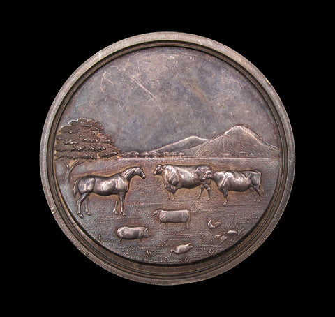 1900 Stormont Union Agricultural Association 49mm Silver Prize Medal