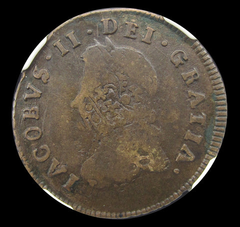 Ireland James II 1691 Limerick Halfpenny - NGC F12
