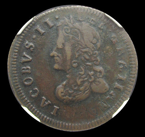 Ireland James II 1691 Limerick Halfpenny - NGC VF