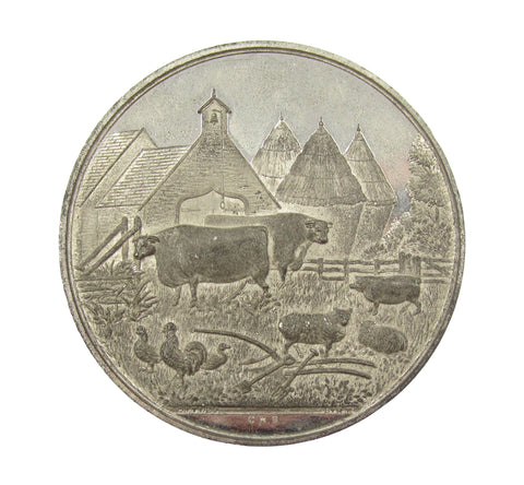 1855 Waterford Farming Society 51mm Medal - By Ottley