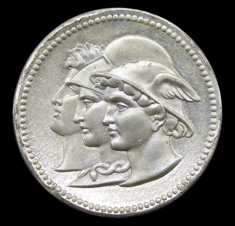 1874 Fine Arts Exhibition 29mm White Metal Medal - Struck In Exhibition