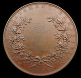 1882 Smoke Abatement Exhibition 45mm Bronze Medal - By Wyon