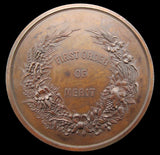 Australia 1887 Adelaide International Exhibition 75mm Bronze Medal