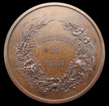 Australia 1887 Adelaide International Exhibition 75mm Bronze Medal
