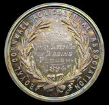 1894 Royal Cornwall Agricultural Association 47mm Silver Medal