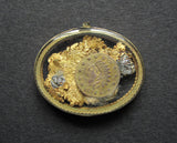 USA 1876 Goldrush Gold Nugget Glass Locket With Dollar