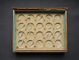 1820 Mudie National Series Original Book Case For Set Of 40 x Bronze Medals