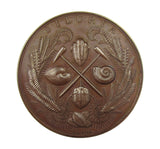 1866 Geological Society Of London Murchison 55mm Medal - By Wyon