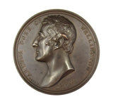 1819 Duke Of Wellington Governor Of Plymouth 55mm Medal - By Webb